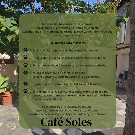 招待所 Cafe Soles